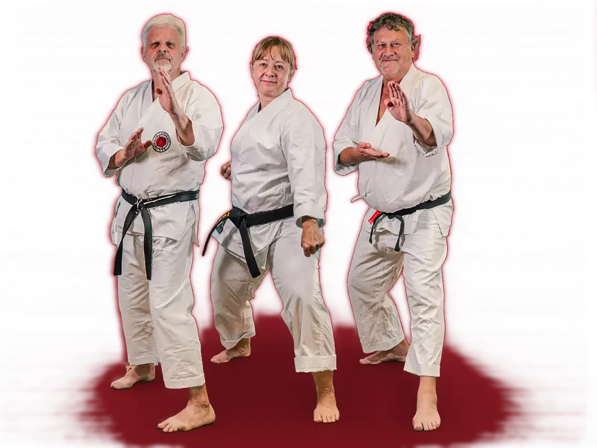 Zwei Männer in Karate-Gi führen eine Kampfpose aus, die Sportleidenschaft der Turngemeinde Landshut verkörpernd.